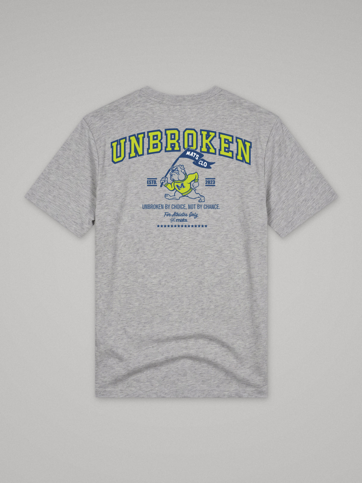Unbroken - University - Regular Fit · Gris · plano · espalda